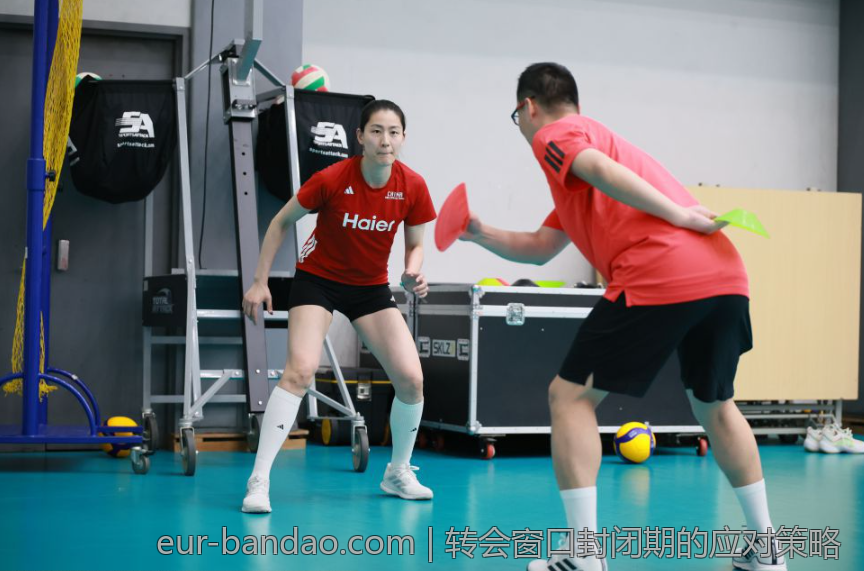 法甲联赛与欧洲五大联赛对比分析